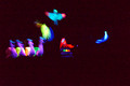 DSC05166