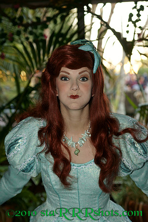 DSC05944