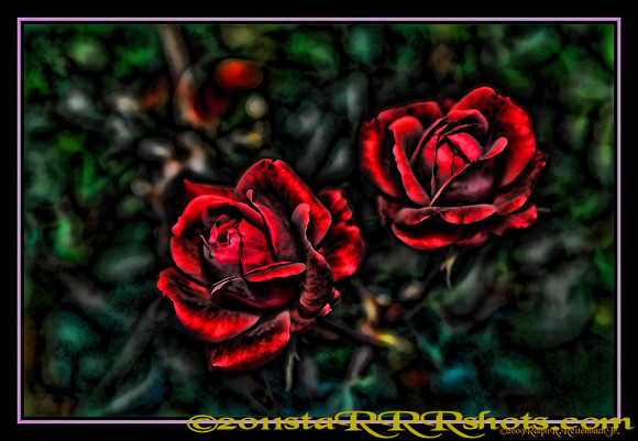 DSC06970D