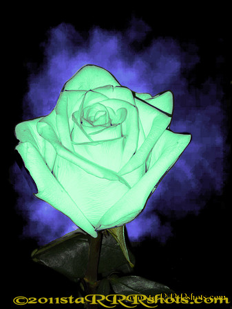 DSCN0292Cmint