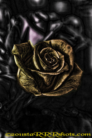 Image3O