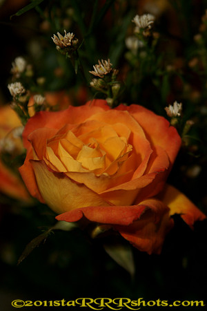 DSC09632