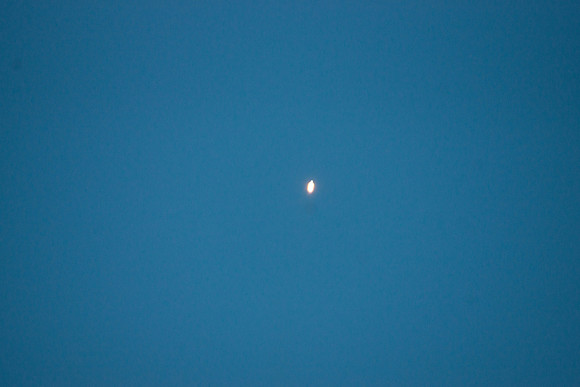 DSC05648