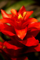 DSC00139