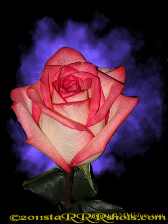 DSCN0292C (2)