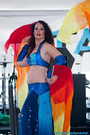 DSC07900