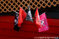 DSC02495