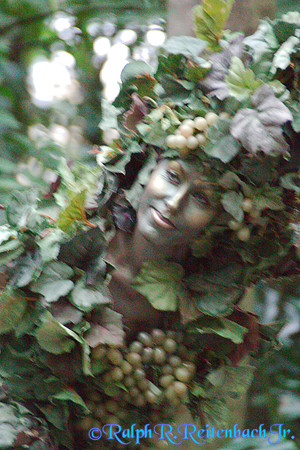 DSC07163