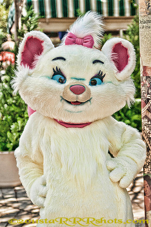 DSC00483B