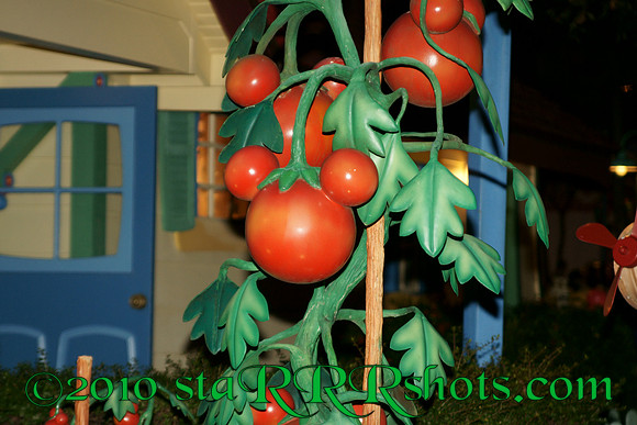 DSC06000