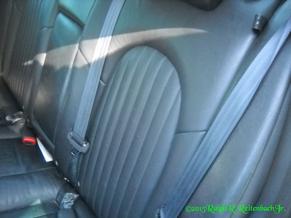 DSCN0617WM