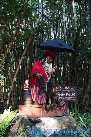 DSC08460