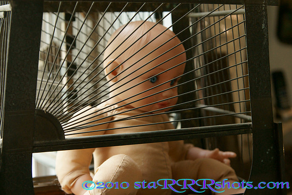 DSC04088
