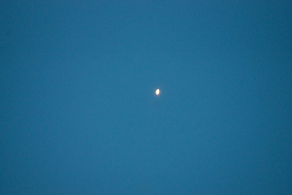 DSC05653