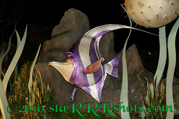 DSC02940