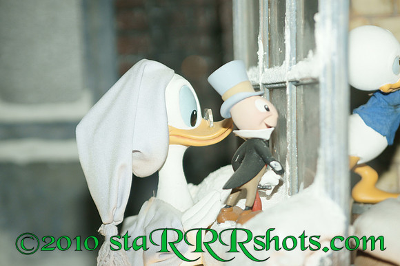 DSC03712