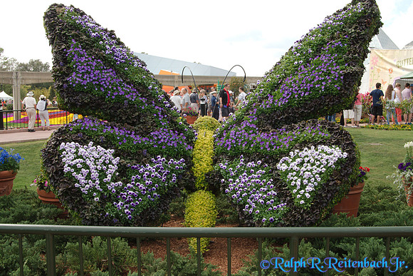 DSC01514 (2)