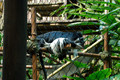 DSC05109