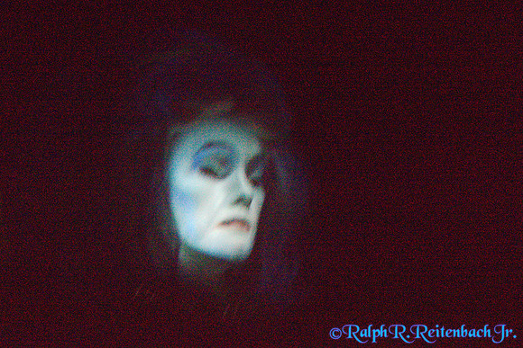 DSC06011