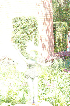 DSC03604