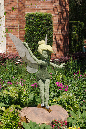 DSC03607