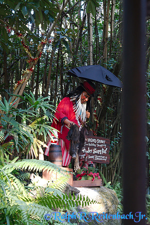 DSC08457