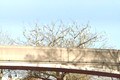DSC02000