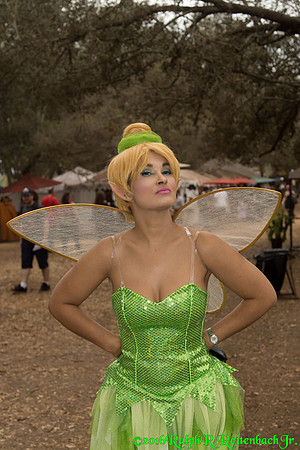 DSC02365