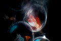 DSC00018