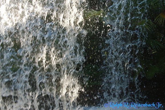DSC08417