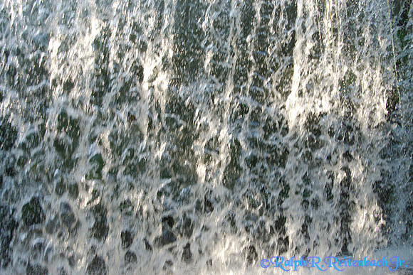 DSC08406