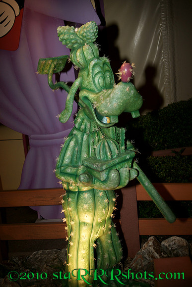 DSC06003
