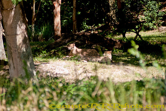 DSC06403-Edit
