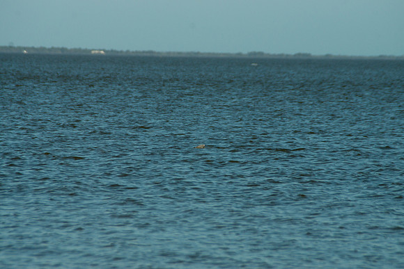 DSC06170