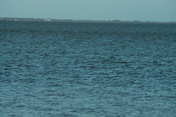 DSC06171