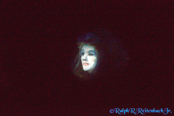 DSC08137