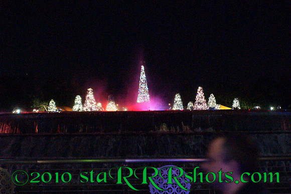 DSC02970