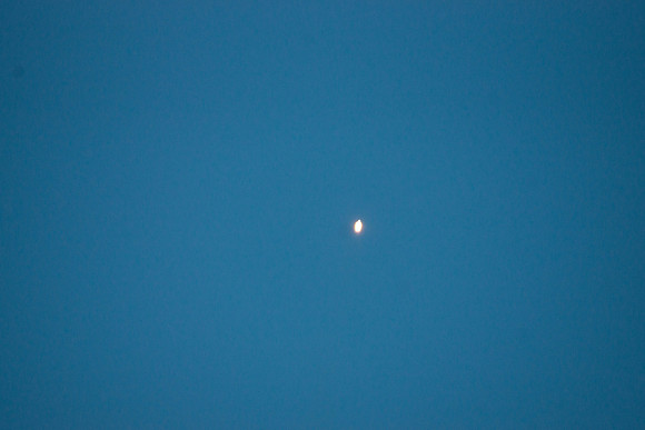 DSC05651