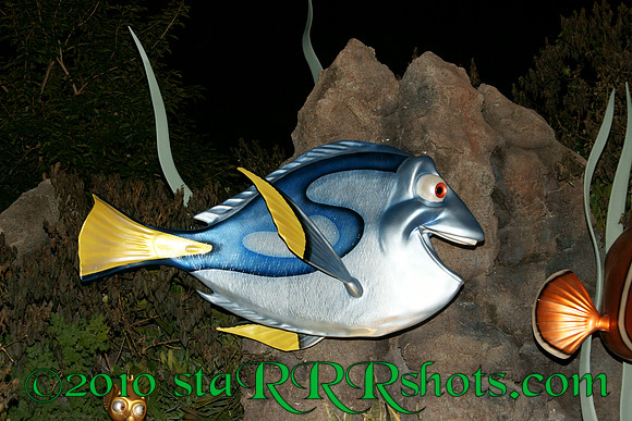 DSC02946