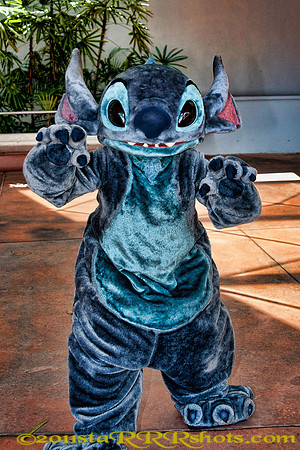 DSC00473D