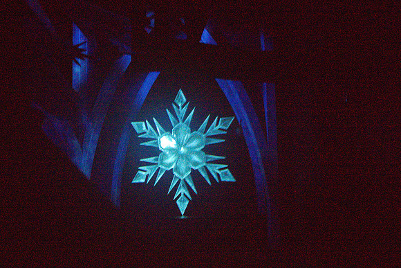 DSC03556