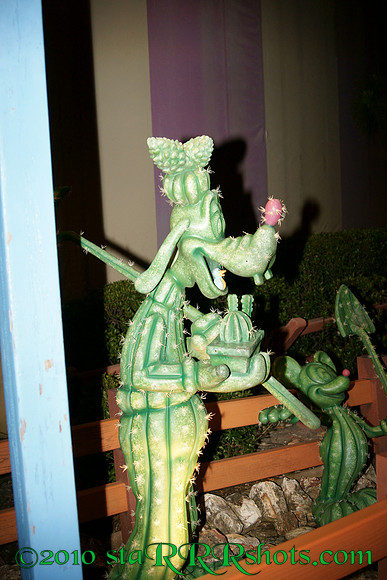 DSC06001
