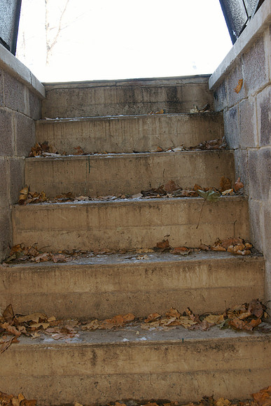 DSC06731