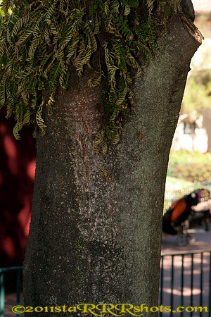 DSC00080