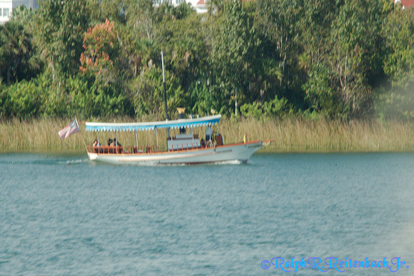 DSC05982