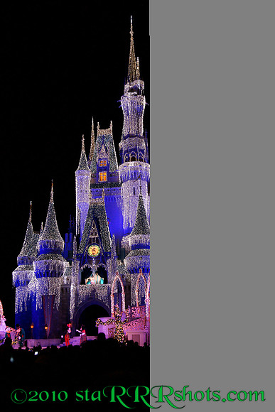 DSC03641