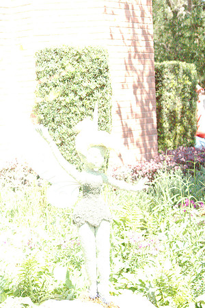 DSC03605