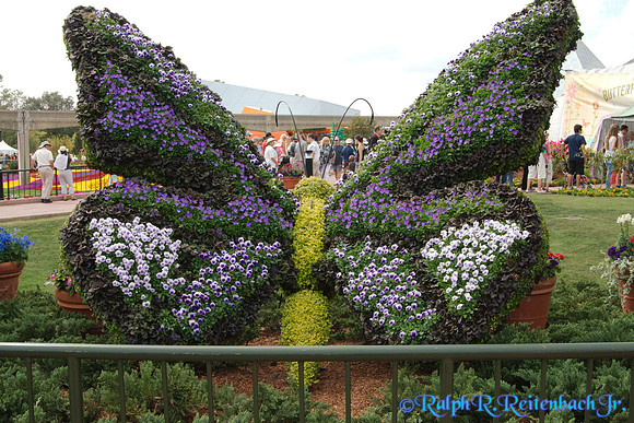 DSC01516 (2)