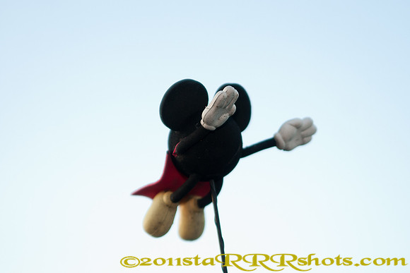 DSC00597
