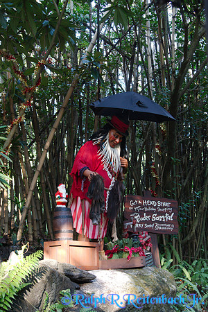 DSC08461